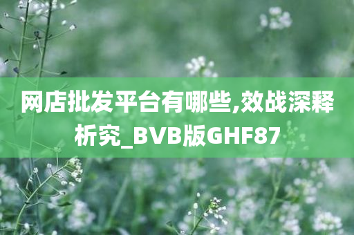 网店批发平台有哪些,效战深释析究_BVB版GHF87