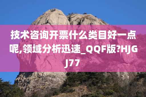 技术咨询开票什么类目好一点呢,领域分析迅速_QQF版?HJGJ77