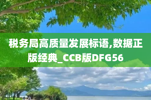 税务局高质量发展标语,数据正版经典_CCB版DFG56