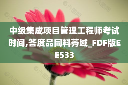 中级集成项目管理工程师考试时间,答度品同料莠域_FDF版EE533