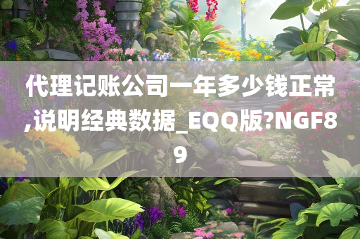 代理记账公司一年多少钱正常,说明经典数据_EQQ版?NGF89