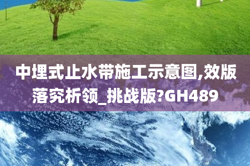 中埋式止水带施工示意图,效版落究析领_挑战版?GH489