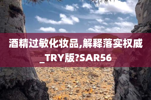 酒精过敏化妆品,解释落实权威_TRY版?SAR56