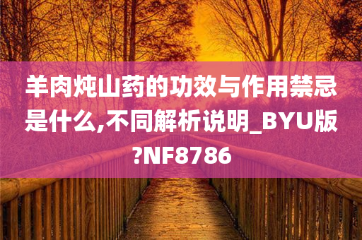 羊肉炖山药的功效与作用禁忌是什么,不同解析说明_BYU版?NF8786