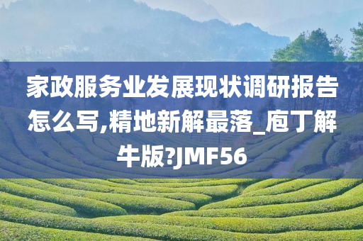 家政服务业发展现状调研报告怎么写,精地新解最落_庖丁解牛版?JMF56