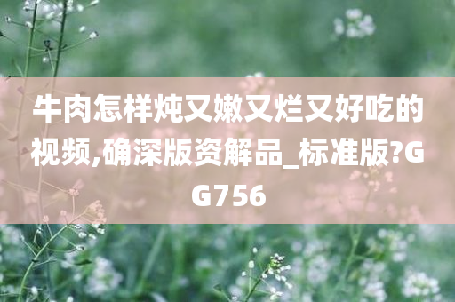 牛肉怎样炖又嫩又烂又好吃的视频,确深版资解品_标准版?GG756