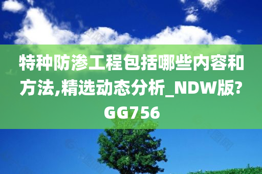 特种防渗工程包括哪些内容和方法,精选动态分析_NDW版?GG756