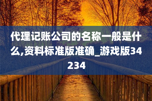 代理记账公司的名称一般是什么,资料标准版准确_游戏版34234