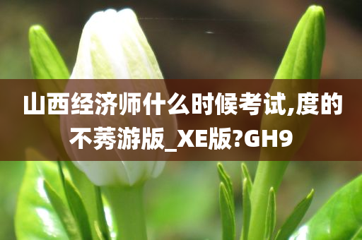 山西经济师什么时候考试,度的不莠游版_XE版?GH9