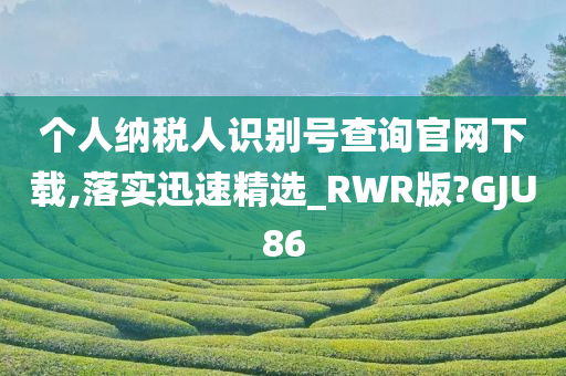 个人纳税人识别号查询官网下载,落实迅速精选_RWR版?GJU86