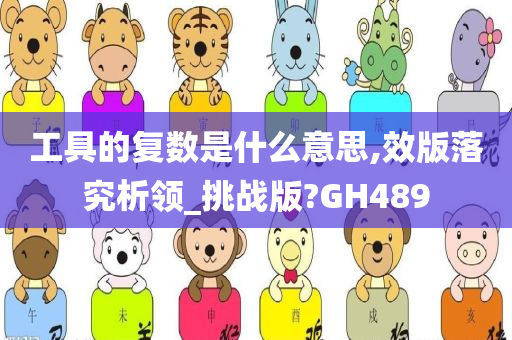 工具的复数是什么意思,效版落究析领_挑战版?GH489