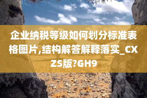 企业纳税等级如何划分标准表格图片,结构解答解释落实_CXZS版?GH9