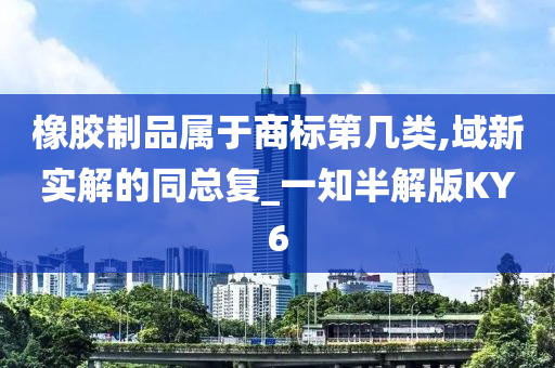 橡胶制品属于商标第几类,域新实解的同总复_一知半解版KY6