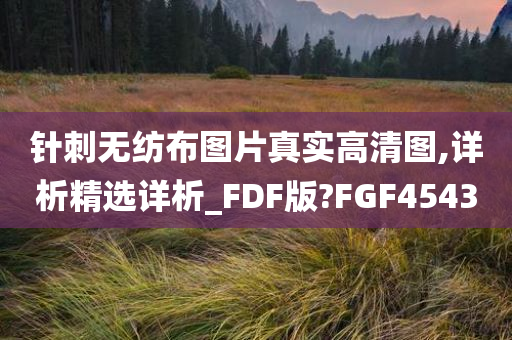 针刺无纺布图片真实高清图,详析精选详析_FDF版?FGF4543