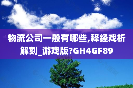 物流公司一般有哪些,释经戏析解刻_游戏版?GH4GF89