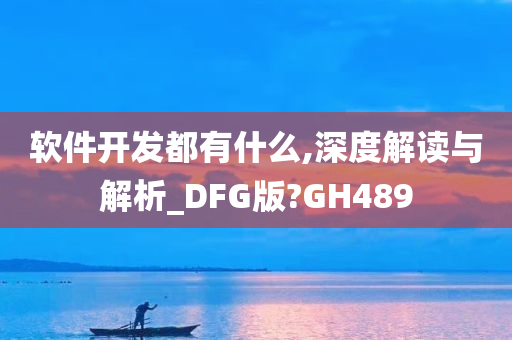 软件开发都有什么,深度解读与解析_DFG版?GH489