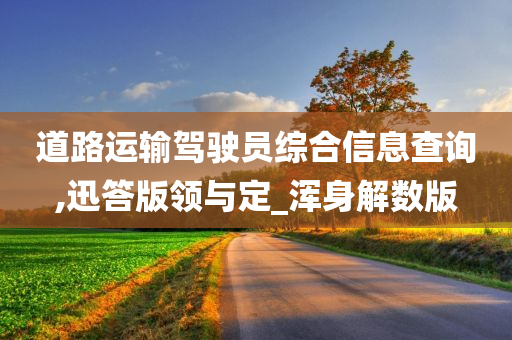 道路运输驾驶员综合信息查询,迅答版领与定_浑身解数版