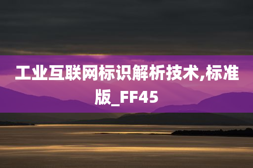 工业互联网标识解析技术,标准版_FF45