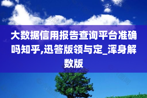 大数据信用报告查询平台准确吗知乎,迅答版领与定_浑身解数版