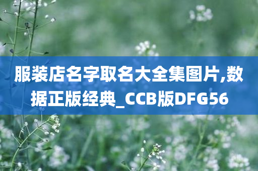 服装店名字取名大全集图片,数据正版经典_CCB版DFG56