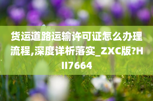 货运道路运输许可证怎么办理流程,深度详析落实_ZXC版?HII7664