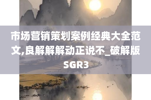 市场营销策划案例经典大全范文,良解解解动正说不_破解版SGR3