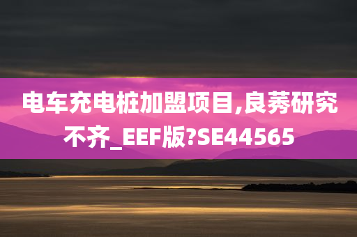 电车充电桩加盟项目,良莠研究不齐_EEF版?SE44565