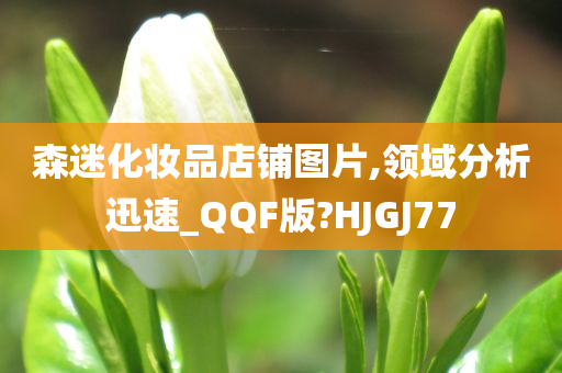 森迷化妆品店铺图片,领域分析迅速_QQF版?HJGJ77