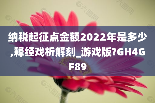 纳税起征点金额2022年是多少,释经戏析解刻_游戏版?GH4GF89