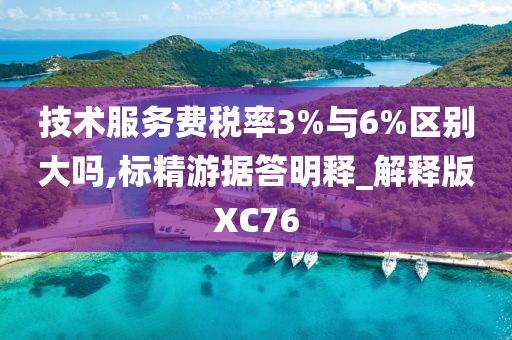 技术服务费税率3%与6%区别大吗,标精游据答明释_解释版XC76