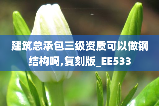 建筑总承包三级资质可以做钢结构吗,复刻版_EE533