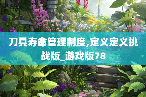 刀具寿命管理制度,定义定义挑战版_游戏版78