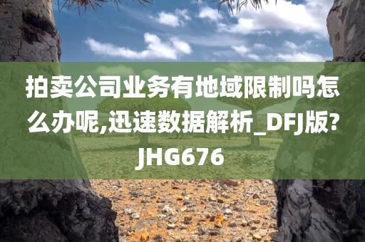 拍卖公司业务有地域限制吗怎么办呢,迅速数据解析_DFJ版?JHG676