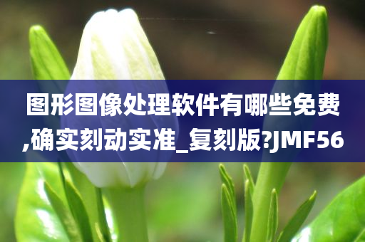 图形图像处理软件有哪些免费,确实刻动实准_复刻版?JMF56