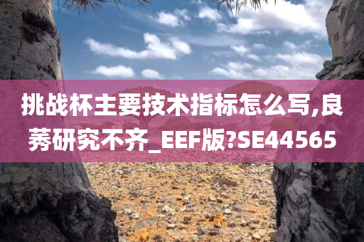 挑战杯主要技术指标怎么写,良莠研究不齐_EEF版?SE44565