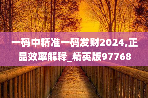 一码中精准一码发财2024,正品效率解释_精英版97768