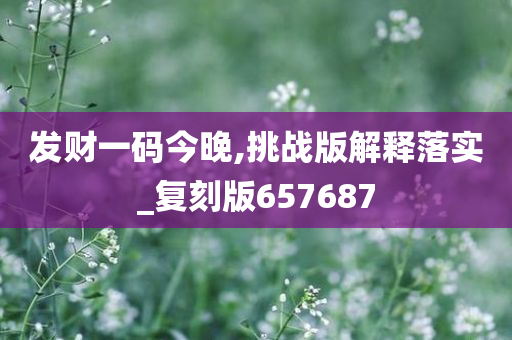 发财一码今晚,挑战版解释落实_复刻版657687