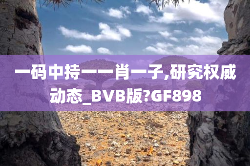 一码中持一一肖一子,研究权威动态_BVB版?GF898