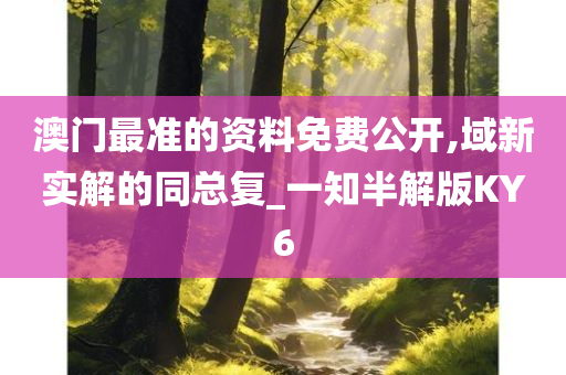 澳门最准的资料免费公开,域新实解的同总复_一知半解版KY6