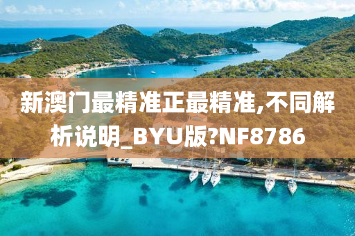 新澳门最精准正最精准,不同解析说明_BYU版?NF8786