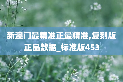 新澳门最精准正最精准,复刻版正品数据_标准版453