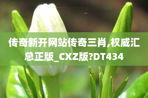 传奇新开网站传奇三肖,权威汇总正版_CXZ版?DT434