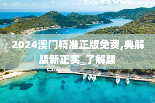 2024澳门精准正版免费,典解版新正实_了解版