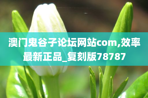 澳门鬼谷子论坛网站com,效率最新正品_复刻版78787