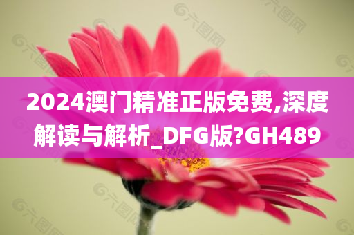 2024澳门精准正版免费,深度解读与解析_DFG版?GH489