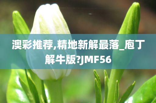 澳彩推荐,精地新解最落_庖丁解牛版?JMF56