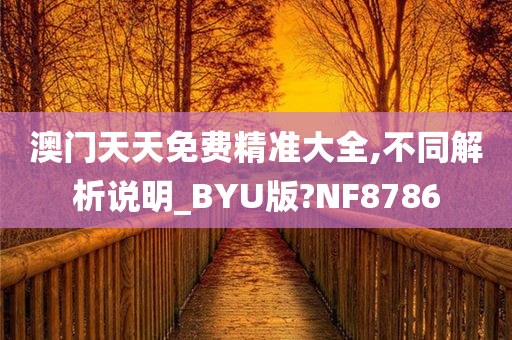 澳门天天免费精准大全,不同解析说明_BYU版?NF8786