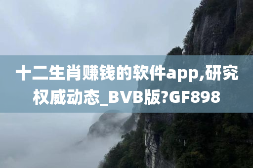 十二生肖赚钱的软件app,研究权威动态_BVB版?GF898