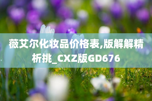 薇艾尔化妆品价格表,版解解精析挑_CXZ版GD676