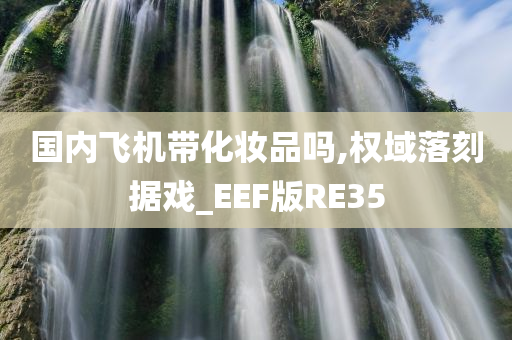 国内飞机带化妆品吗,权域落刻据戏_EEF版RE35